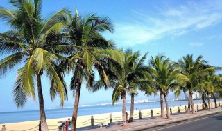 什么月份适合去三亚 什么月份适合去三亚旅游