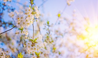 天气好的说说朋友圈 天气文案短句干净