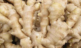 姜还是老的辣还是新的辣 姜还是老的辣是什么效应