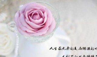 今天太累了的说说 今天太累了的说说 心情