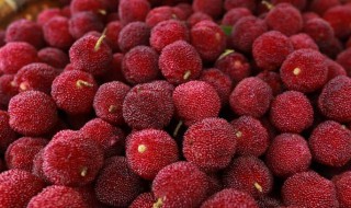 杨梅泡酒有什么功效 杨梅泡酒有什么功效和作用