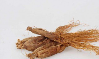 红参和高丽参有什么区别（女人三种人不宜吃红参）