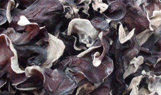 干木耳有保质期吗（干木耳3年了还能吃吗）