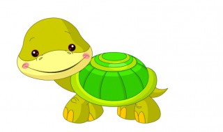 乌龟为什么拉黄水（乌龟拉黄水是什么原因）