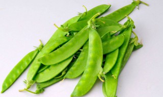 荷兰豆长大了就叫豌豆吗 荷兰豆长大了就叫豌豆吗为什么