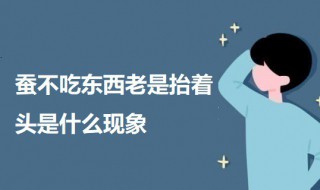 蚕不吃东西老是抬着头是什么现象（蚕昂着头不吃东西是怎么回事）