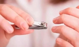 剪指甲是全部剪掉还是留一点（剪指甲是全部剪掉还是留一点好）