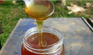 蜂蜜为什么有深色和浅色 蜂蜜浅色和深色什么区别