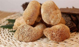 猴头菇畸形好还是圆头好（猴头菇怎么看好不好呀）