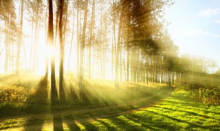 每天坚持晒太阳一年后变化（每天晒一会太阳）