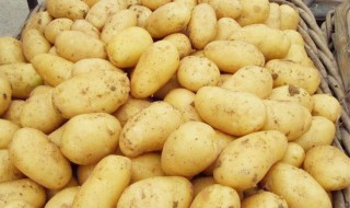马铃薯黑心是怎么回事（马铃薯黑心是什么原因）