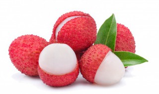 吃荔枝上火可以喝菊花茶吗（荔枝和菊花可以泡茶喝吗）