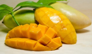 青皮芒果怎样辨别生熟 青皮芒果怎样辨别生熟呢