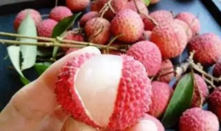 如何简单快速剥荔枝 巧剥荔枝的小窍门