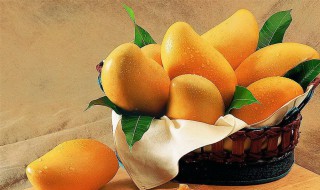 芒果还没熟就有黑斑出来是烂了吗 芒果还没熟就有黑斑出来是烂了吗能吃吗