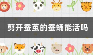 剪开蚕茧的蚕蛹能活吗 剪开蚕茧的蚕蛹能活吗,为什么