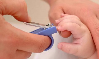 剪指甲应该剪到什么位置（剪指甲应该剪到什么位置好）