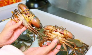 如何杀螃蟹和清洗（怎样处理螃蟹清洗螃蟹）