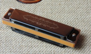 如何清洗口琴（如何清洗口琴发霉）