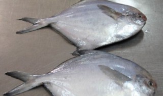 如何清洗鲳鱼（如何清洗鲳鱼内脏）