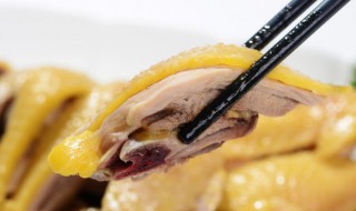 鸡的寓意（鸡的寓意 吉利的成语）