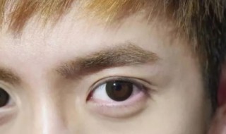 眉毛浓的男人代表什么（眉毛浓的男人代表什么意思）