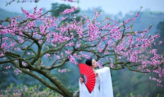 沐浴桃花是什么意思（八字带沐浴桃花是什么意思）
