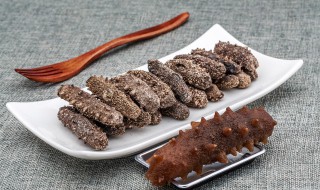 怎么泡干海参（怎么泡干海参会长得比较大）