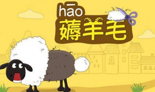 褥羊毛是什么意思（美国褥羊毛是什么意思）