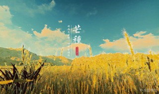 有关芒种的谚语和诗句 有关芒种的谚语和诗句