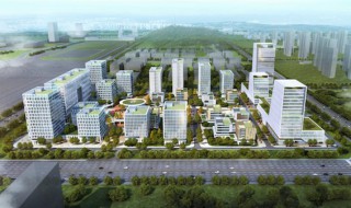 孵化园是干什么的