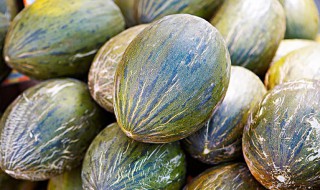 香瓜种植到成熟期一共多少天 香瓜种植到成熟期一共多少天香瓜的品种