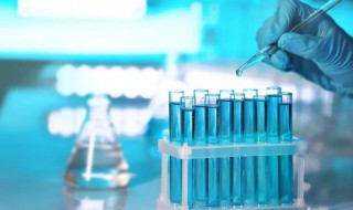 电解液成分（电池电解液成分）