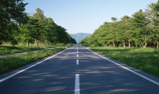 y是什么道路编号 白色y是什么道路编号