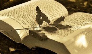 抽屉协议是什么意思 抽屉协议的特征不包括