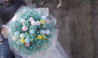 满天星花束多久枯萎 满天星花束多久枯萎一次