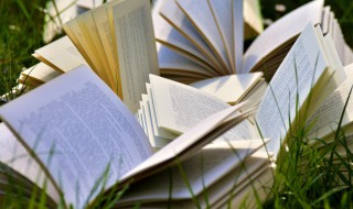 贸易顺差是什么 国际贸易顺差是什么