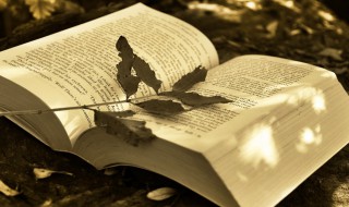 什么是LOF基金 哪些是lof基金