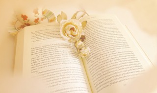 什么是恶意做空（为什么要恶意做空）