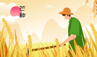 24节气分别是什么（24节气歌的24节气分别是什么）