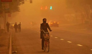 如何躲避沙尘暴（如何躲避沙尘暴作文）