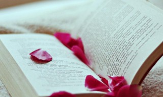 什么是红利再投资 什么是红利再投资理财