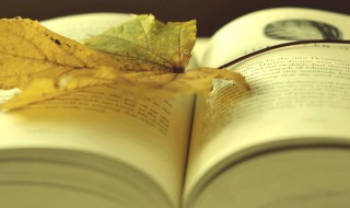 风险偏好是什么（风险偏好是什么观的）