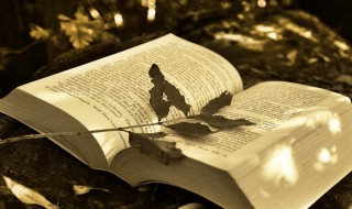 什么是被背书人（什么是背书人什么是被背书人）