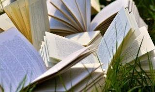 什么叫结算业务 什么是结算业务