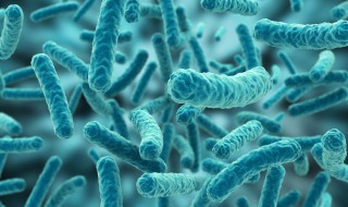 病毒的遗传物质是什么（常见病毒的遗传物质是什么）