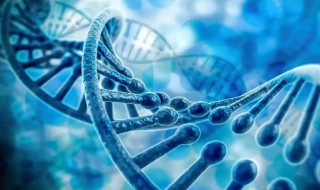 基因突变是什么意思啊（基因突变是什么原因引起的）