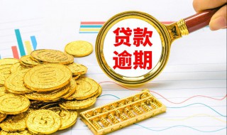 短期借贷有哪些 短期借款有哪些