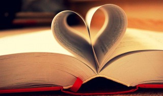 资产的构成内容是什么（资产包括的内容）