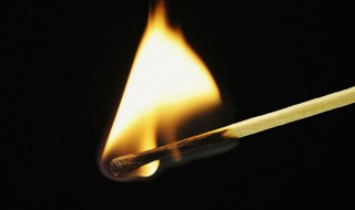 元素的化学性质由什么决定 元素的化学性质由什么决定的